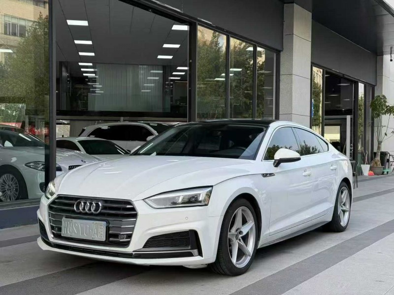 广州19年奥迪A52