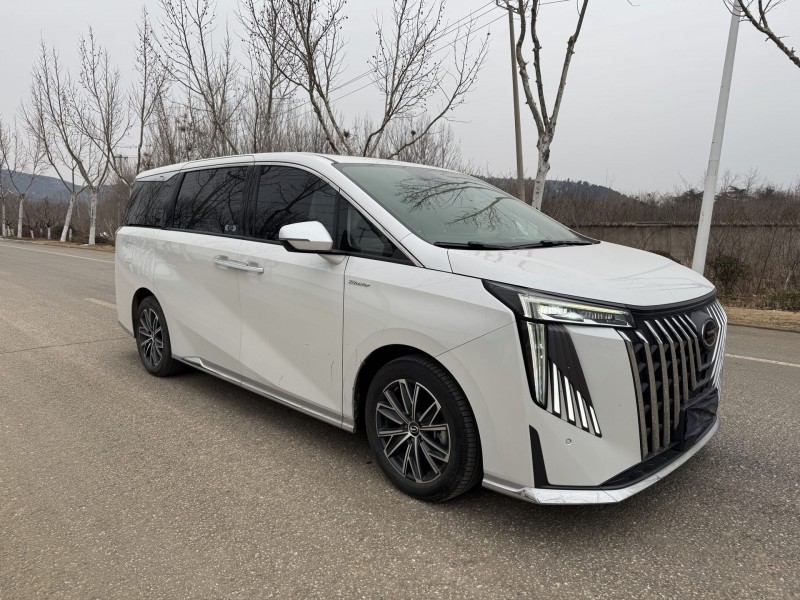 徐州24年传祺M8/GM83