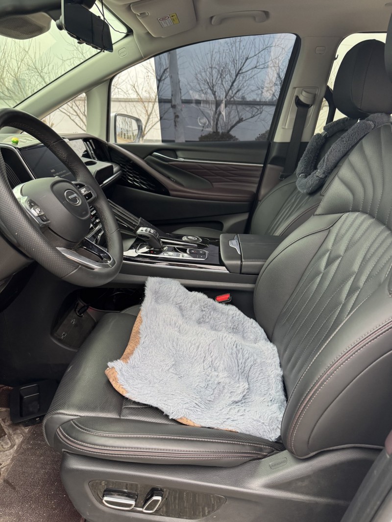 徐州24年传祺M8/GM87