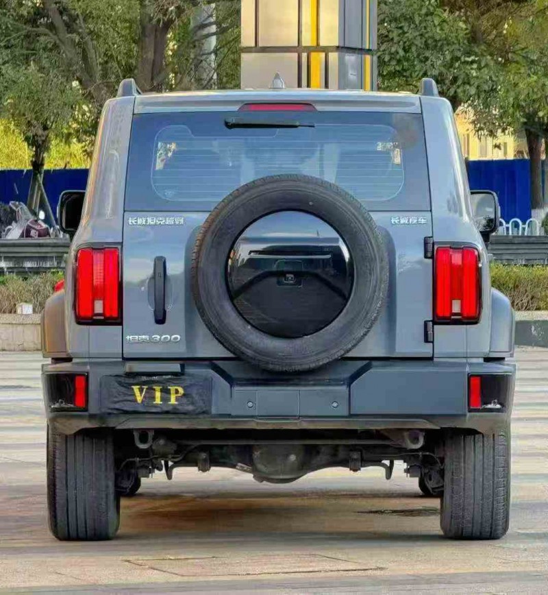 临沧24年长城汽车坦克6