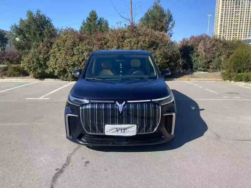 南通23年岚图汽车梦想家1