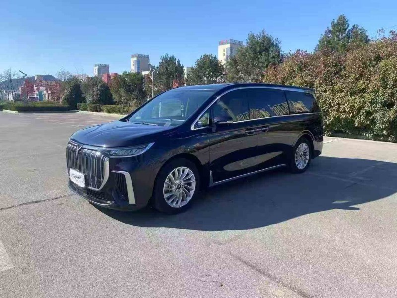 南通23年岚图汽车梦想家2