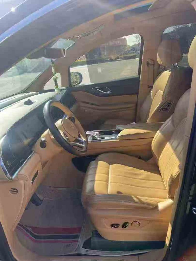 南通23年岚图汽车梦想家4