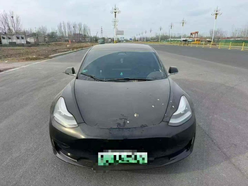 平顶山20年特斯拉MODEL 31