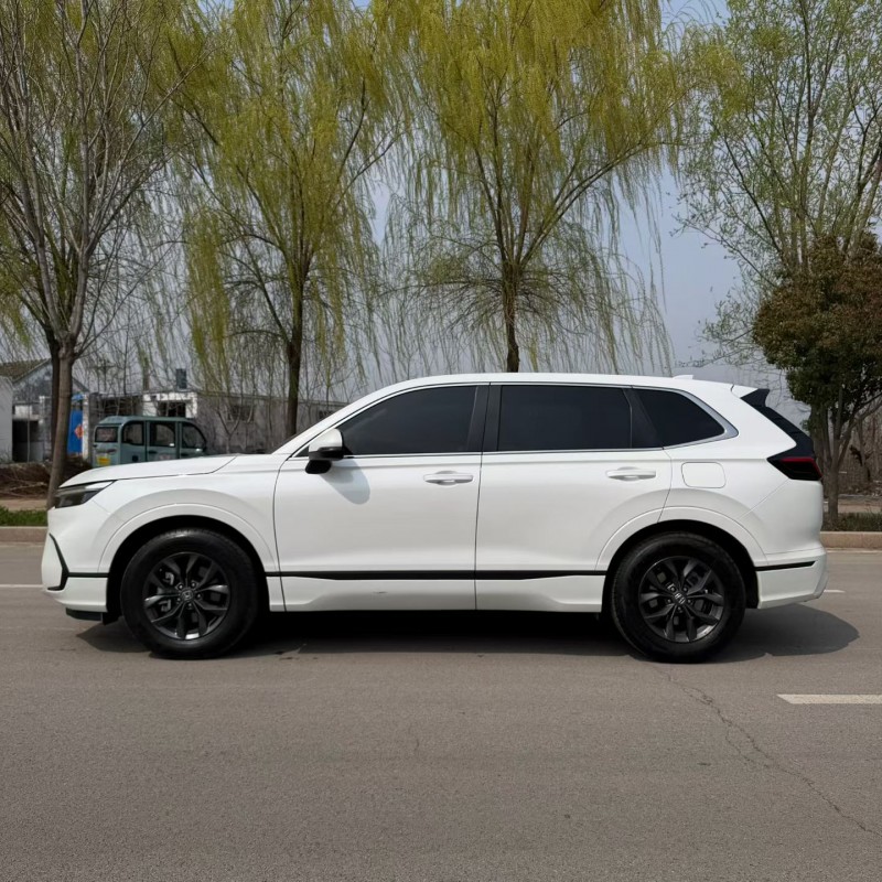 枣庄23年本田皓影7