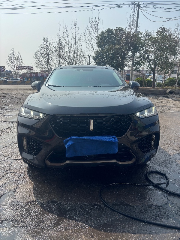 菏澤19年長城汽車WEY1