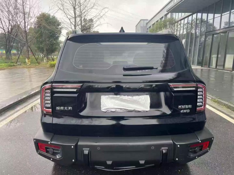 衡阳23年哈弗大狗9