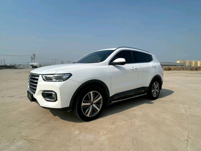 沧州19年哈弗H63