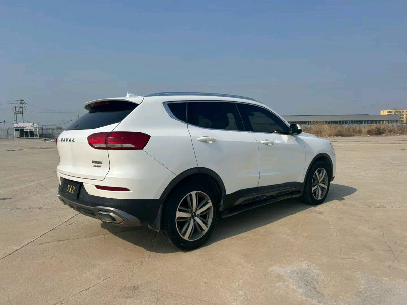 沧州19年哈弗H65