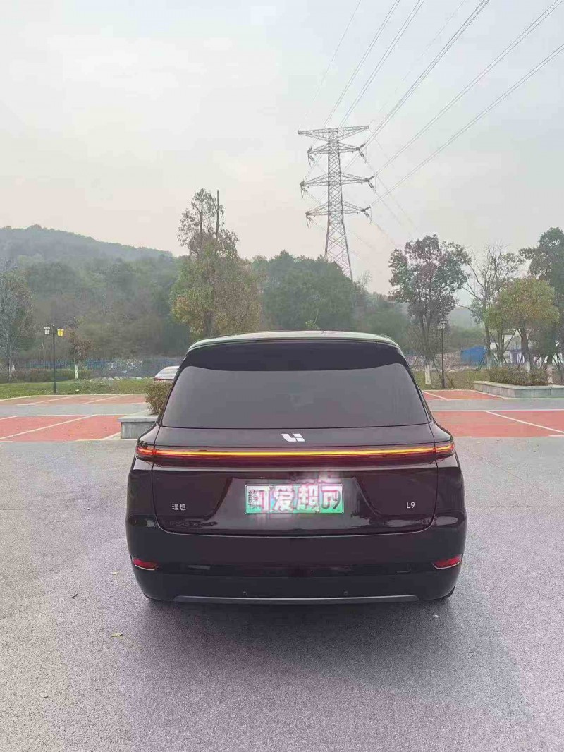 萍乡24年理想L99