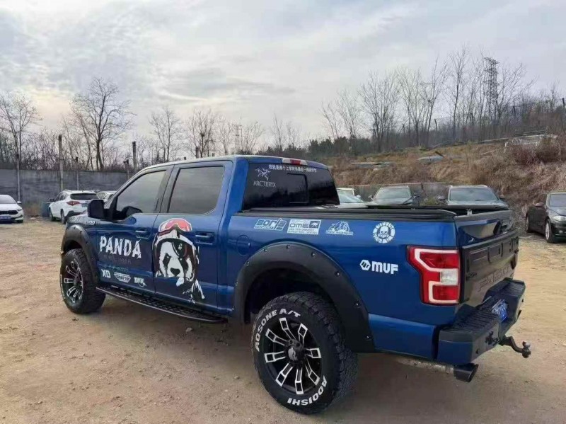 枣庄18年福特猛禽8