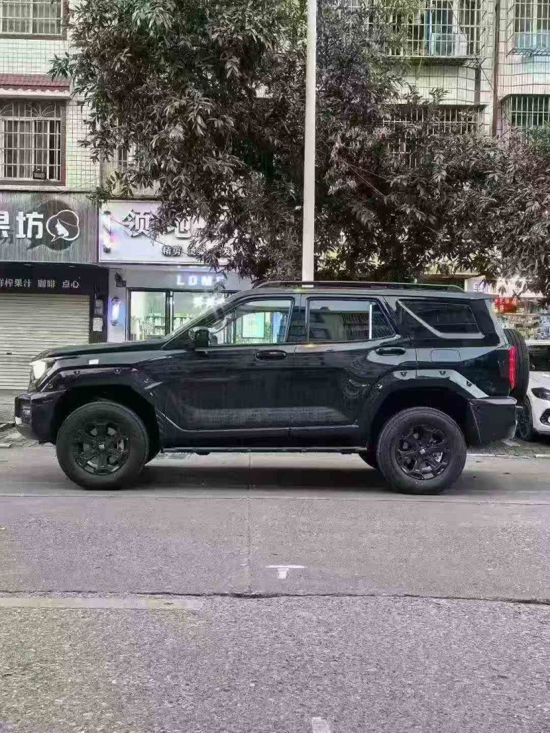 汕头26年长城汽车坦克2