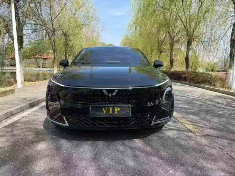 新余24年五菱汽车星光1