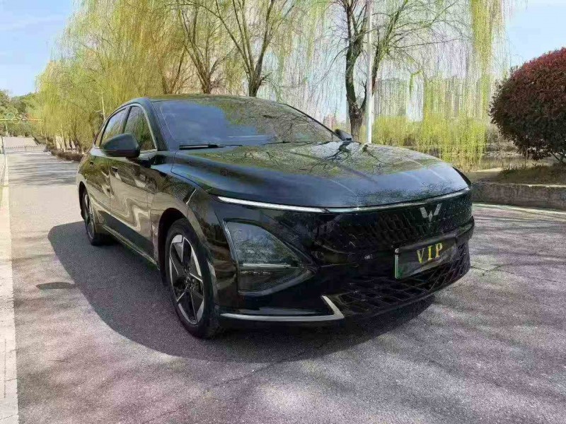 新余24年五菱汽车星光3