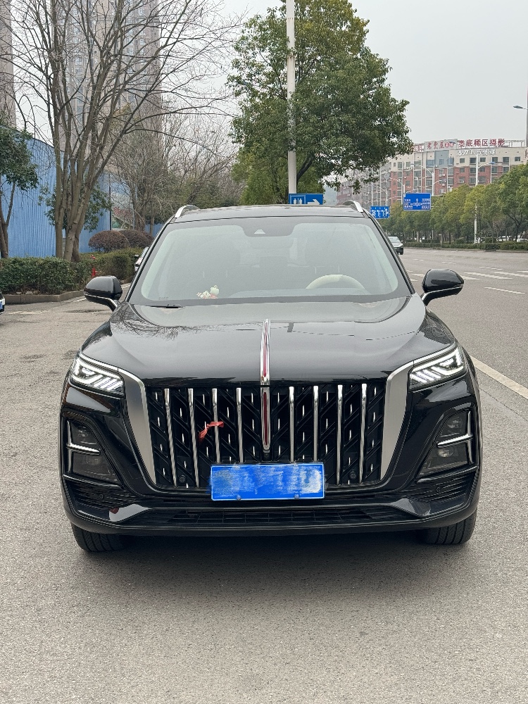 娄底24年红旗HS51