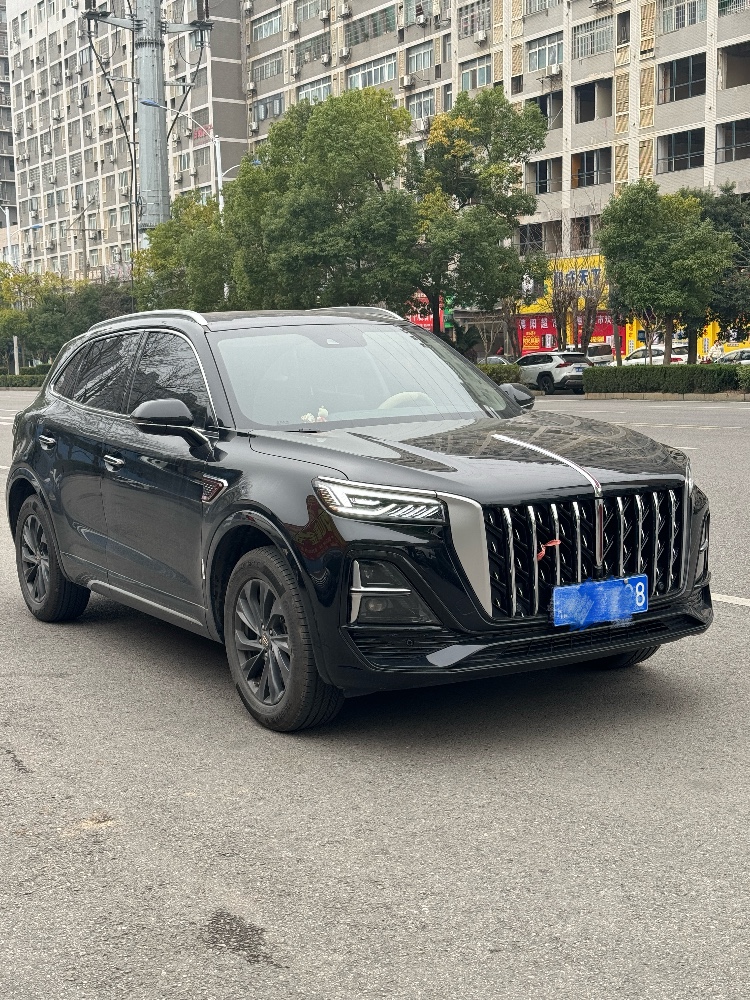 娄底24年红旗HS52