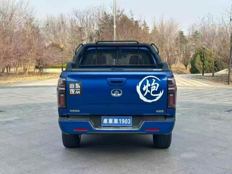 潍坊21年长城汽车炮 皮卡9