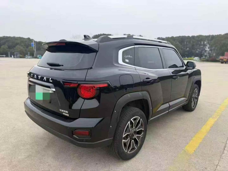 东营24年哈弗大狗8