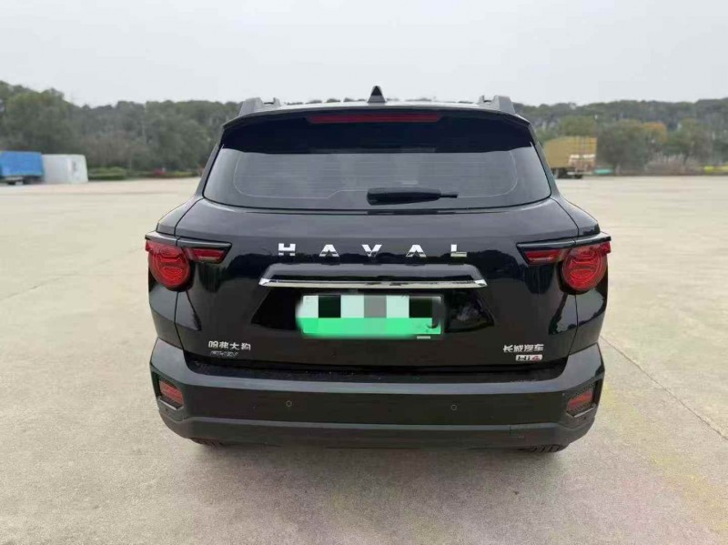 东营24年哈弗大狗9