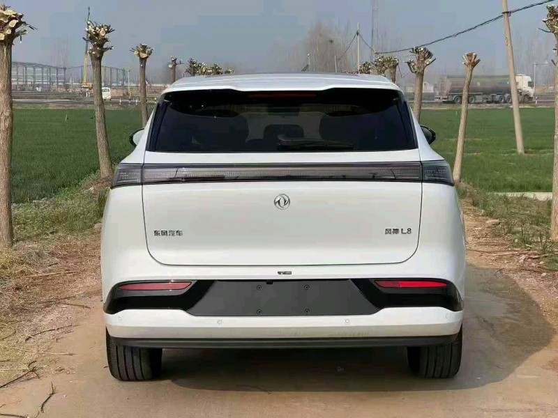 济宁26年东风风神8