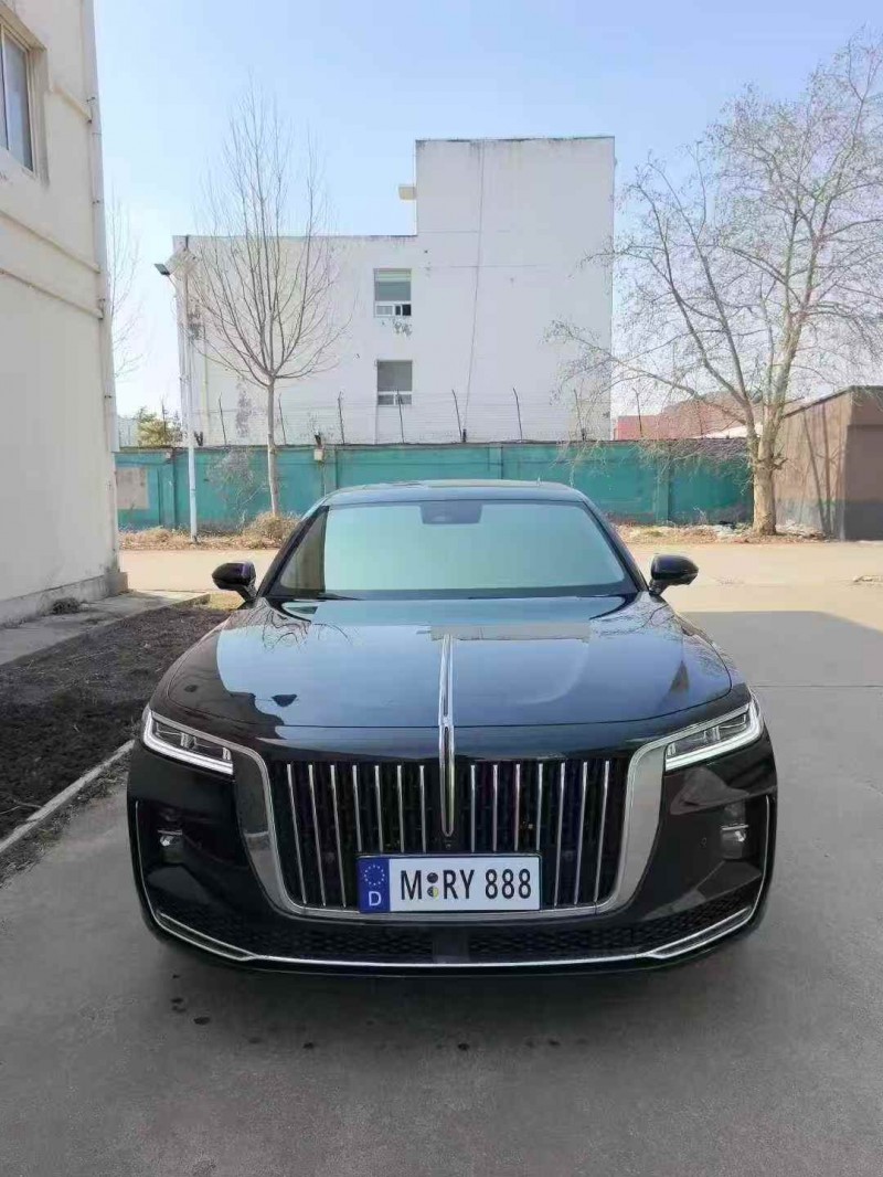 潍坊21年红旗H91