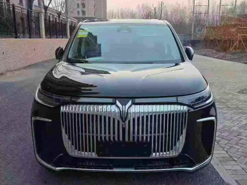 唐山25年岚图汽车梦想家1