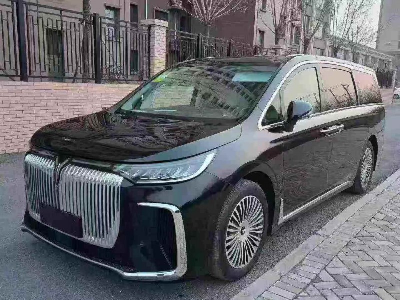 唐山25年岚图汽车梦想家2