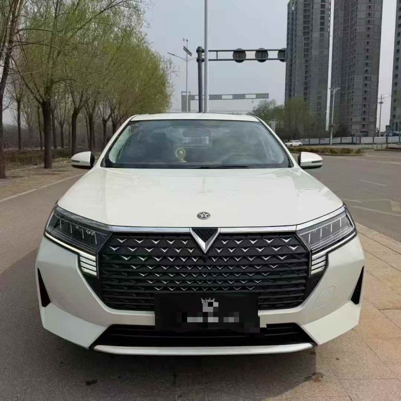 枣庄24年启辰D601