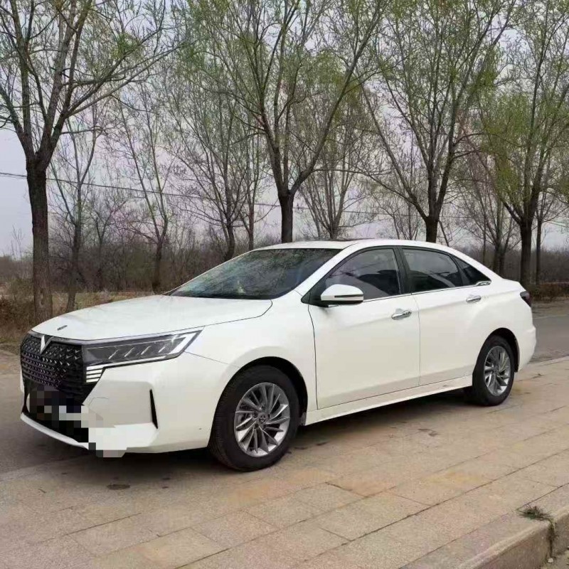 枣庄24年启辰D602