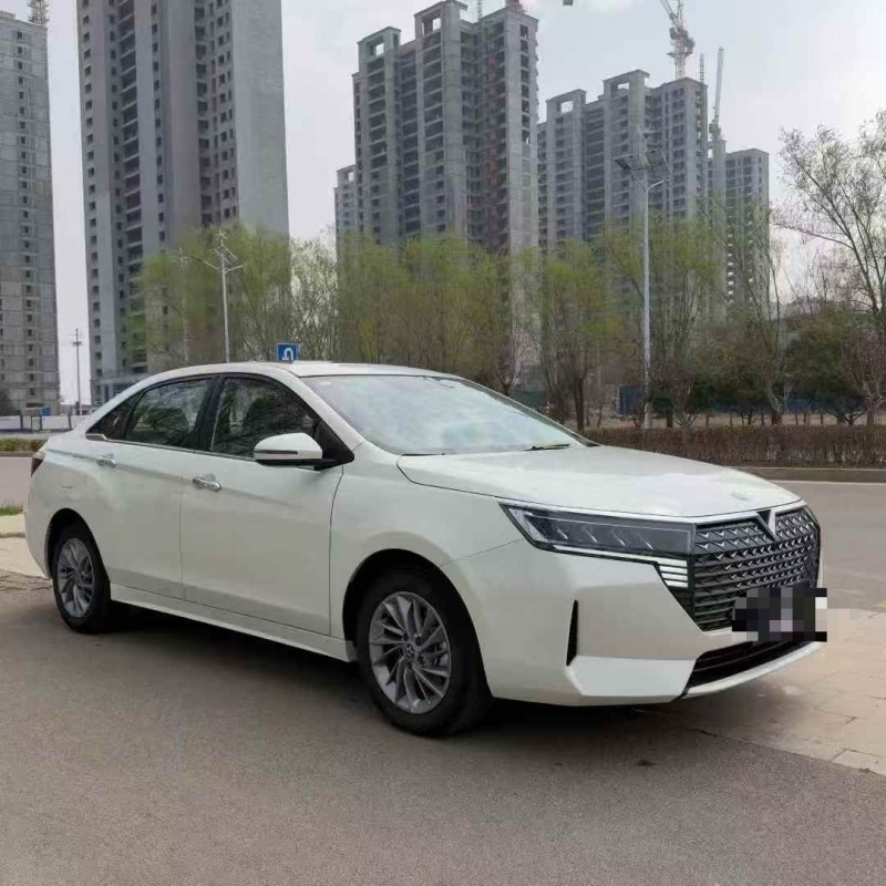 枣庄24年启辰D603