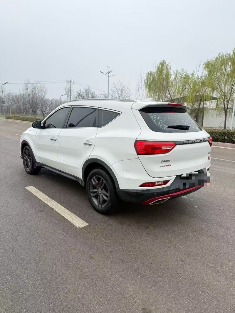 枣庄22年东风风光8