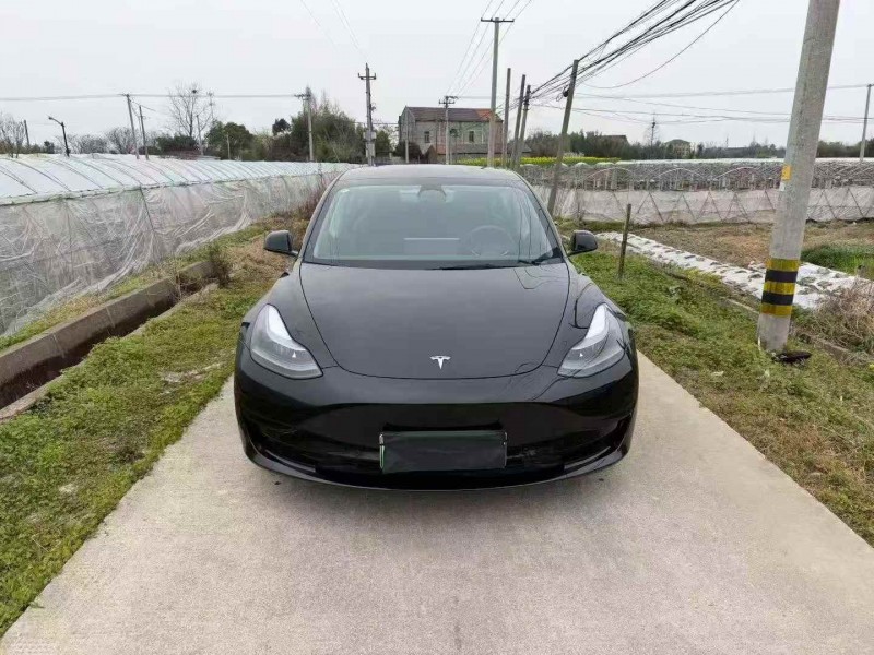 绍兴23年特斯拉MODEL 31