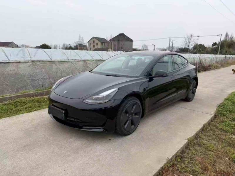 绍兴23年特斯拉MODEL 33