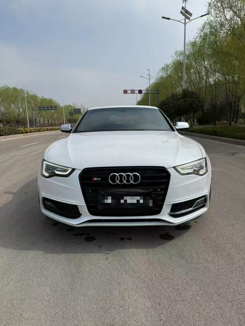 枣庄14年奥迪S51