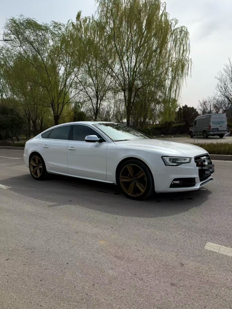 枣庄14年奥迪S52