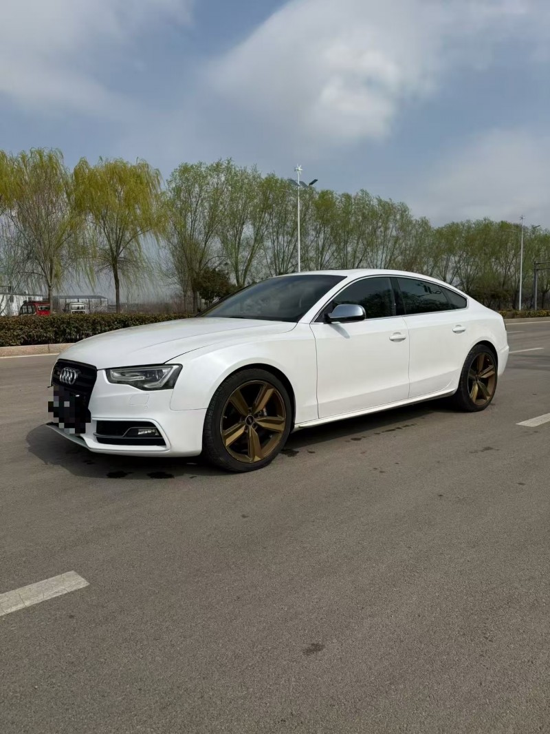 枣庄14年奥迪S53