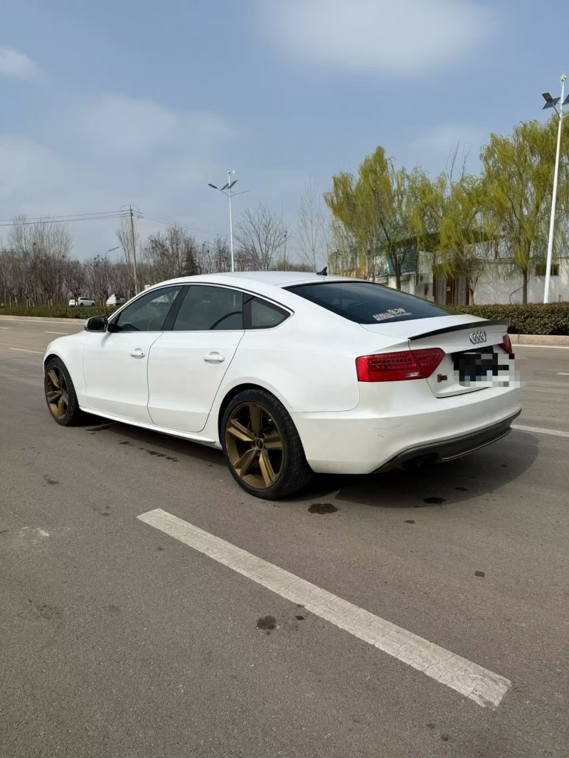 枣庄14年奥迪S58