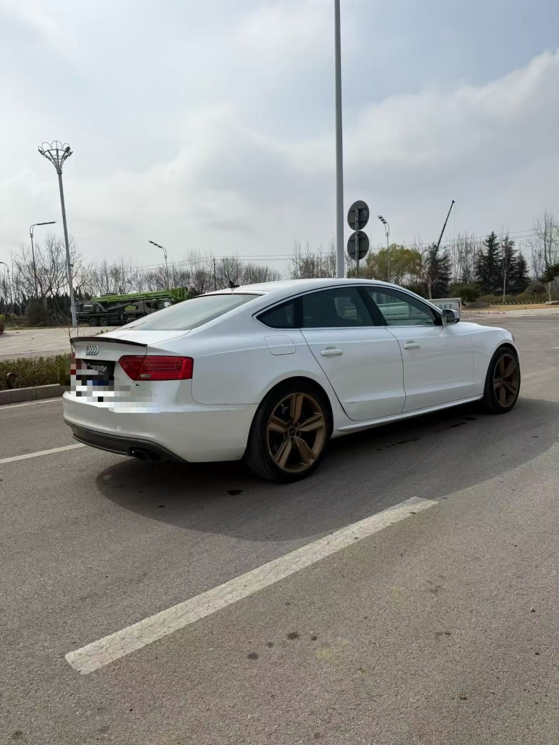 枣庄14年奥迪S59