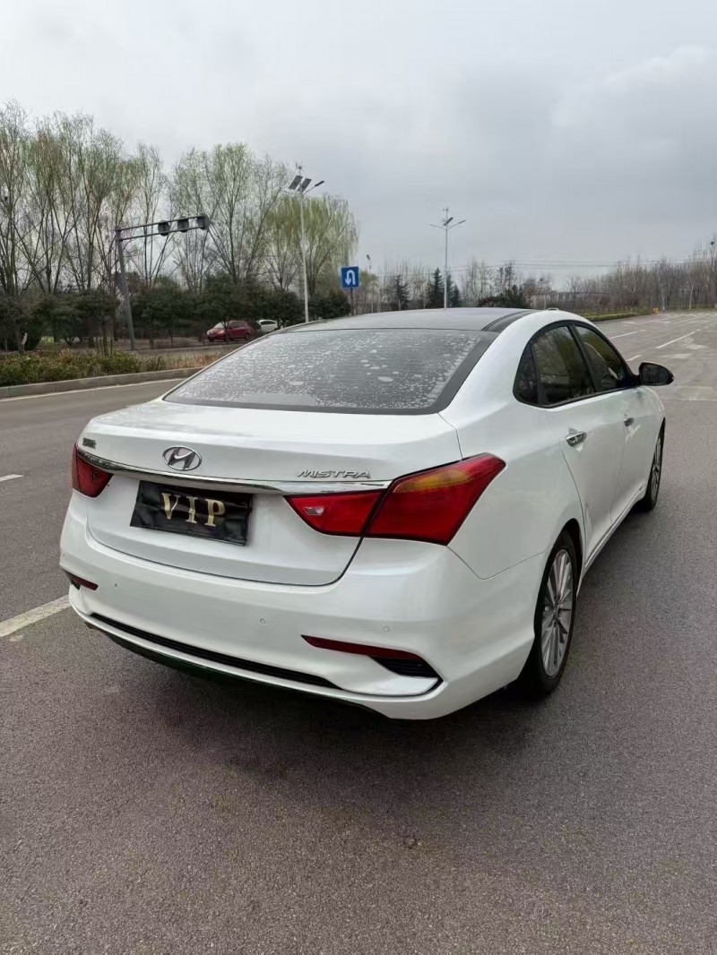 枣庄18年现代名图9