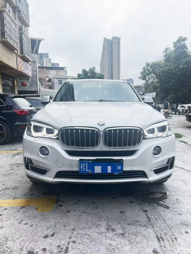 百色17年寶馬X51