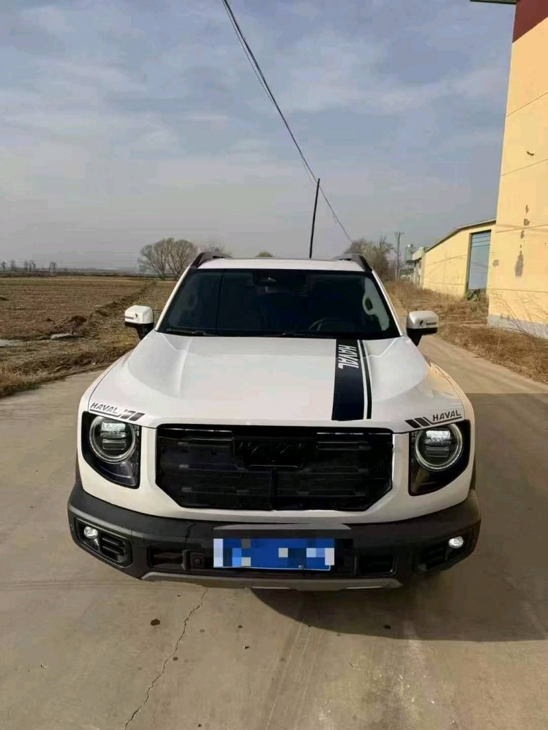 乌海21年哈弗大狗1