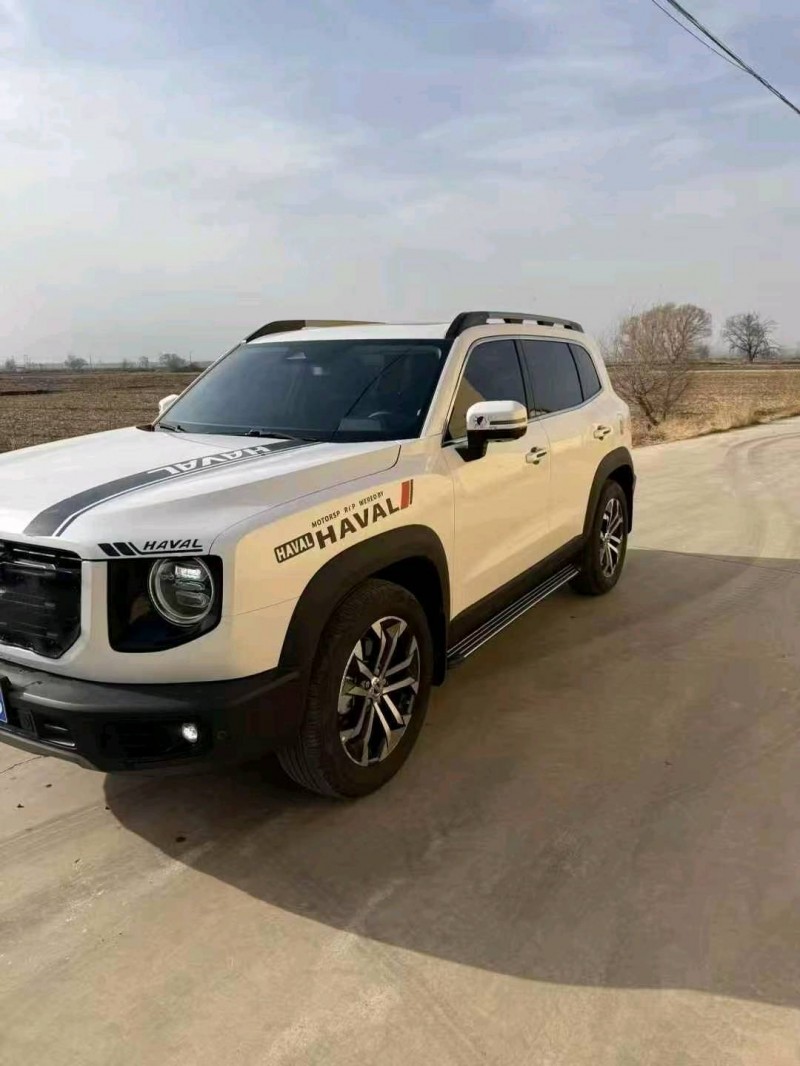 乌海21年哈弗大狗2