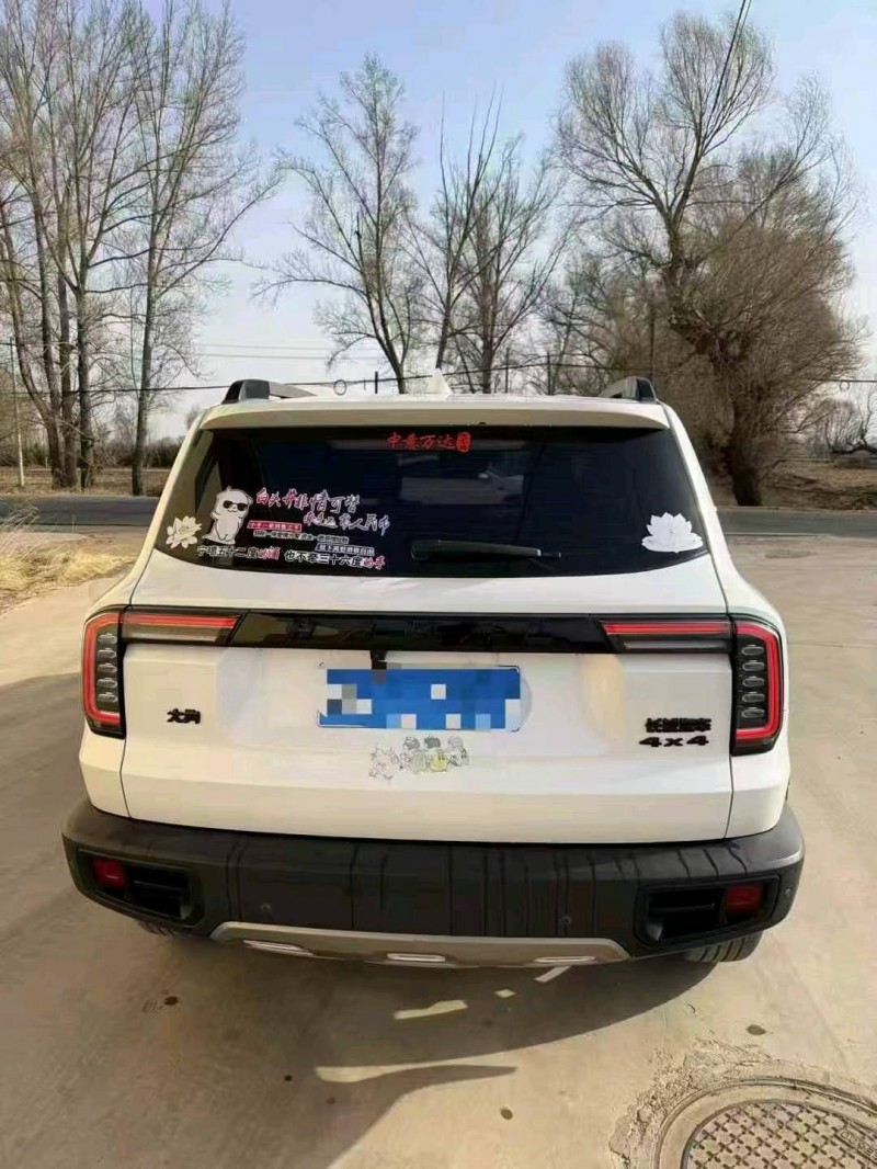 乌海21年哈弗大狗9