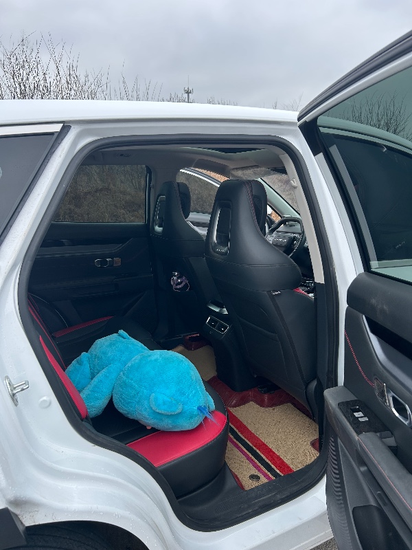 运城23年奇瑞捷途11