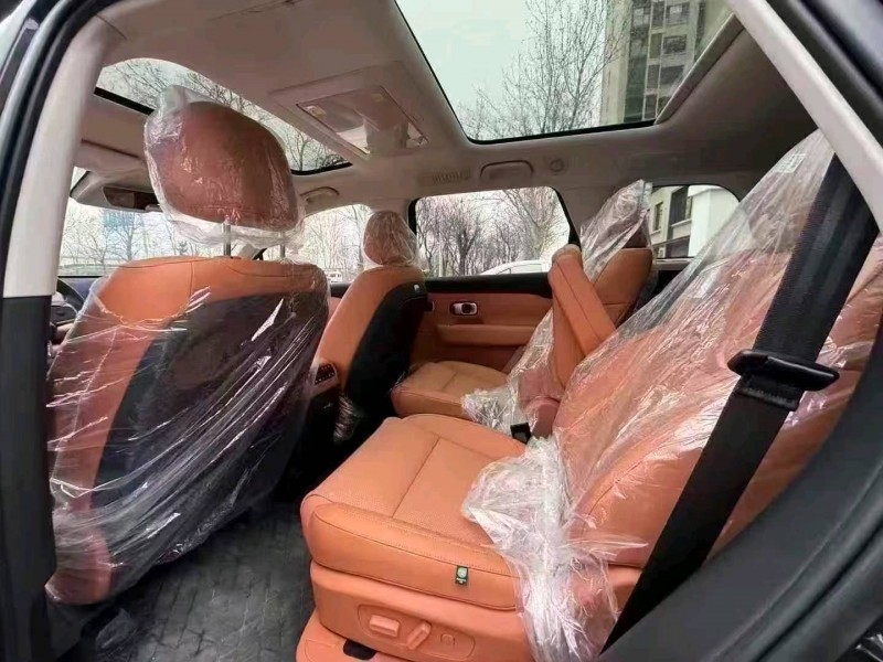 邢台25年零跑汽车C165