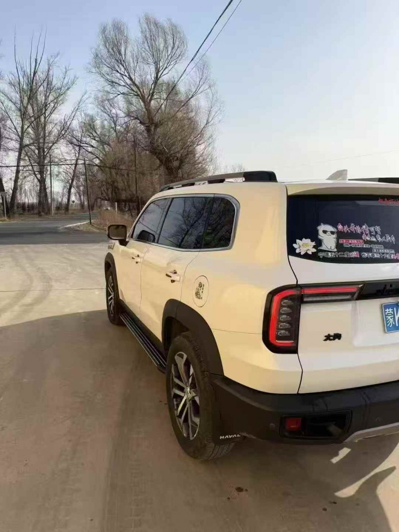 呼伦贝尔21年哈弗大狗7