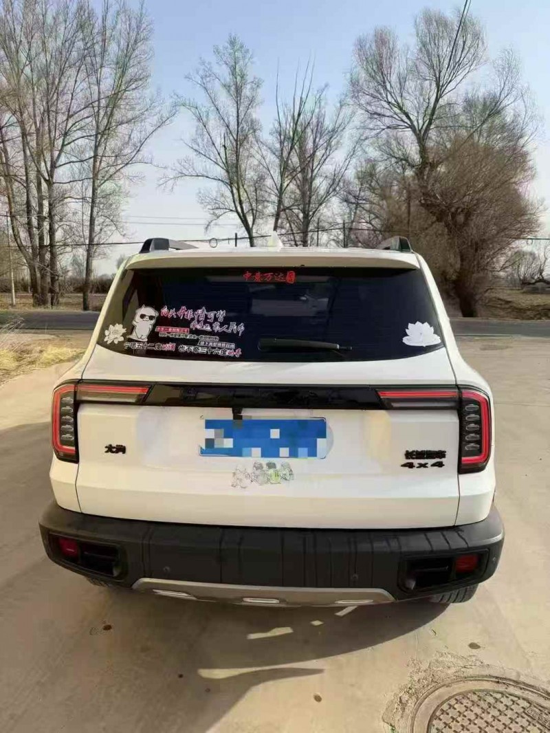 呼伦贝尔21年哈弗大狗8