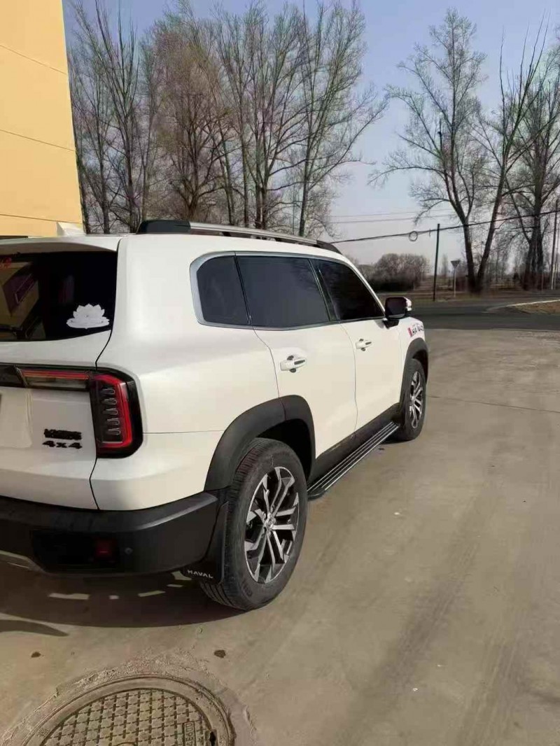 呼伦贝尔21年哈弗大狗9