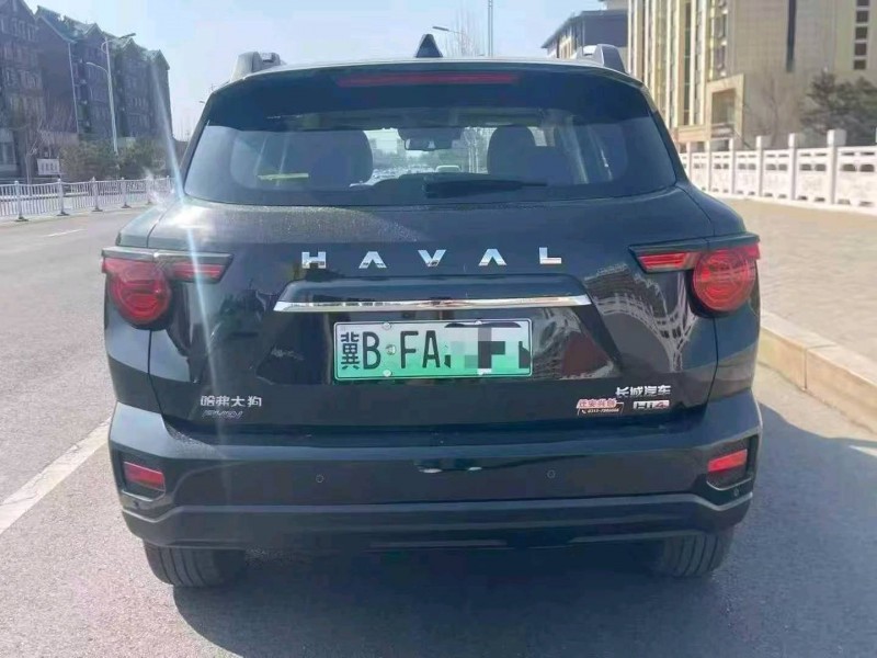 沧州25年哈弗大狗6