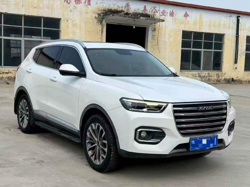 濰坊20年紅旗H63